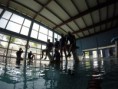 /album/fotogaleria/formacion-003-jpg1/